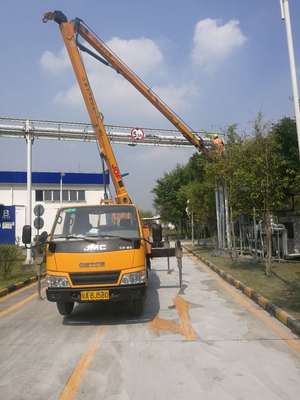 江門路燈車出租實時報價