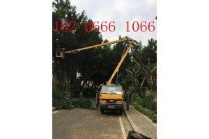 肇慶鼎湖高空路燈車出租139 2597 1179 鼎湖哪里找到