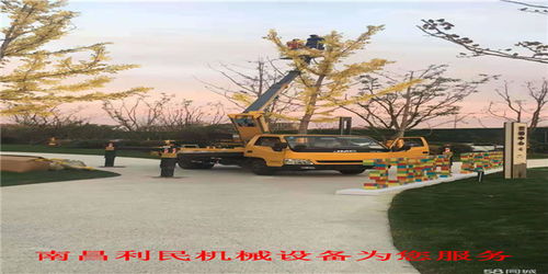 樟樹路燈車出租公司