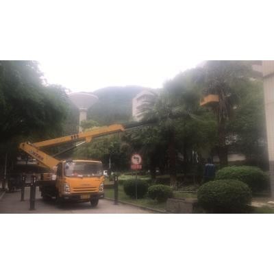 臺山地區(qū)升降機與自行走高空車出租行情價格分析